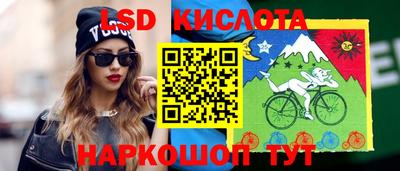 винт Можга