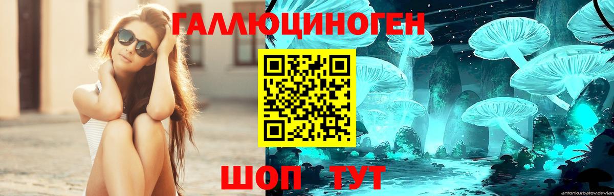 Черняховск  купить  сайты  Вход с VPN  Галлюциногенные грибы MAGIC MUSHROOMS 