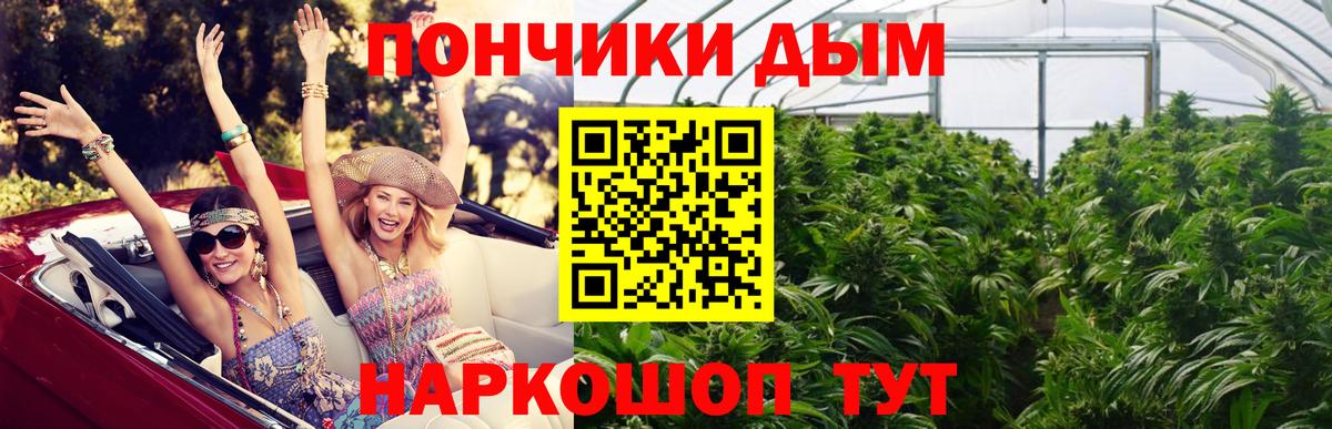 Бошки Шишки планчик  Вход с VPN  Черняховск  Каннабис сатива 